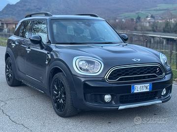 Mini Countryman SD All4 (190cv)