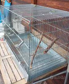 gabbia uccelli