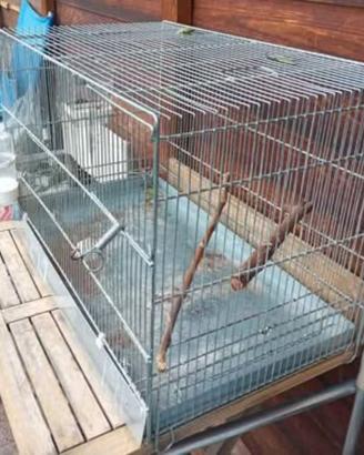 gabbia uccelli