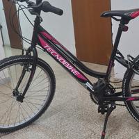 Bicicletta per ragazze 