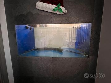 Acquario marino in extra chiaro 120x60x60