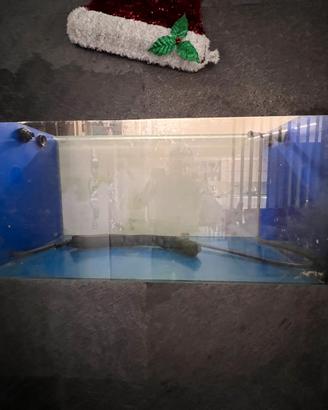 Acquario marino in extra chiaro 120x60x60