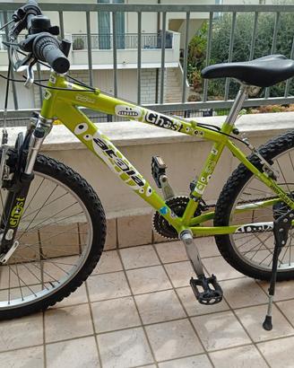 Mountain bike Atala ruote 24