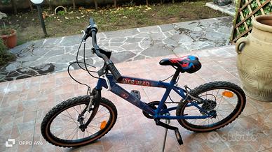 BICICLETTA RAGAZZO 20 POLLICI 