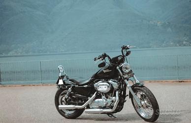 Harley davidson 883