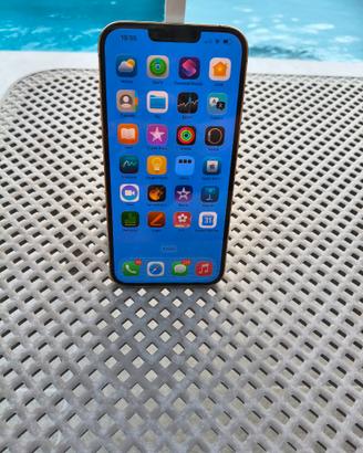 iPhone 13 Pro Max 128 GB Champagne - Come Nuovo