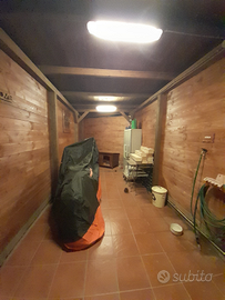 Appartamento loc la Cinquantina, Cecina (LI)