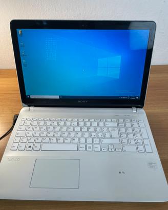 Computer portatile, Sony vivaio