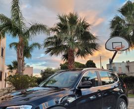 Bmw x3 (e83) - 2010