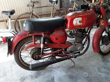 morini corsaro 60