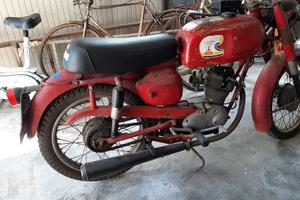 morini corsaro 60