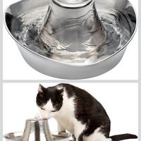 Fontanella per animali: cani e gatti