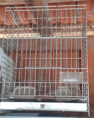 Gabbia per uccelli