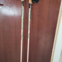 bastoncini nordic walking