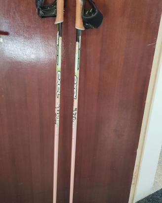 bastoncini nordic walking