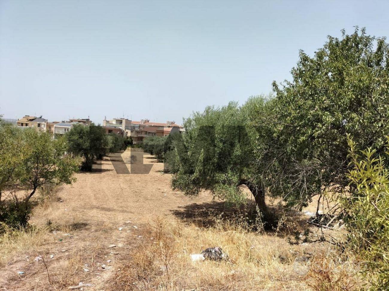 Terreno - Comiso - Vista 2