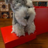 Peluche cane schnauzer piccolo