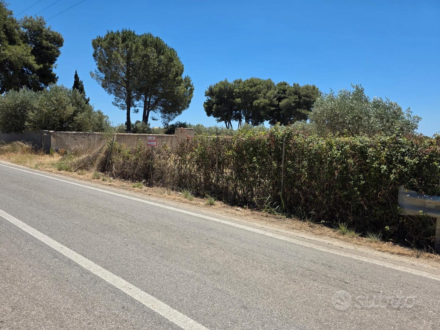 Castelvetrano terreno 3600 mq con progetto - Altro
