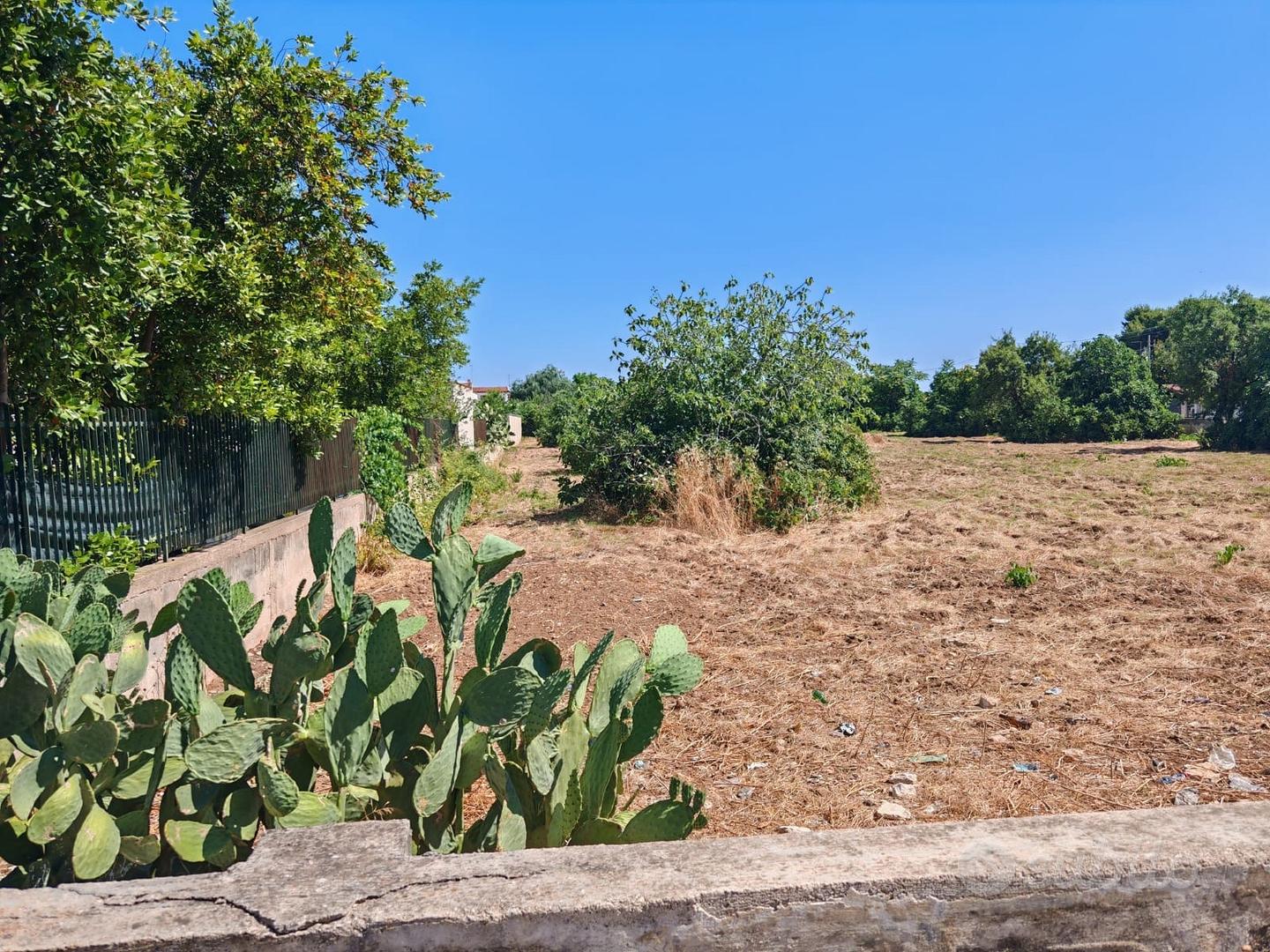 Terreno agricolo Lama di Taranto - Vista 6