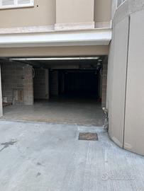 Box torvajanica alta