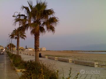 Sicilia S.O.Donnalucata"nel regno di Montalbano"