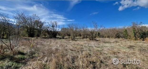 Terreno noccioleto a Castiglione di Sicilia