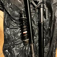 Forcelle e Mono ammortizzatore Brixton