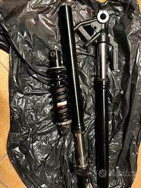 Forcelle e Mono ammortizzatore Brixton