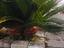 Immagine 2