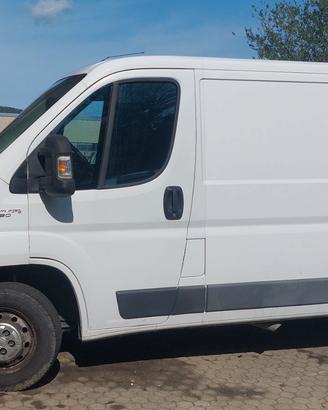 FIAT DUCATO tetto basso - passo medio