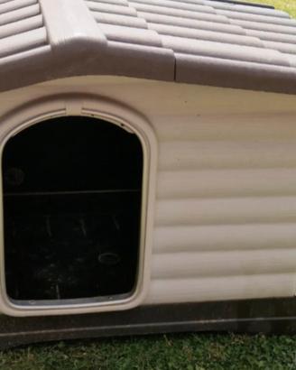 Cuccia per cani