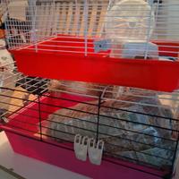 recinto cani+coniglio+criceto 