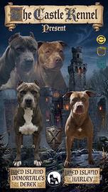 Prenotazione cucciolata in arrivo Pitbull
