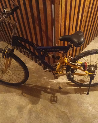 Bicicletta