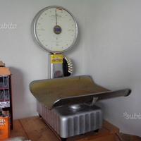 Bilancia Bizerba da banco