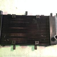 RADIATORE YAMAHA FZ6