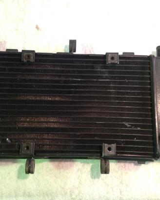 RADIATORE YAMAHA FZ6