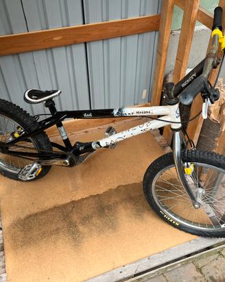 Bicicletta Trail monty