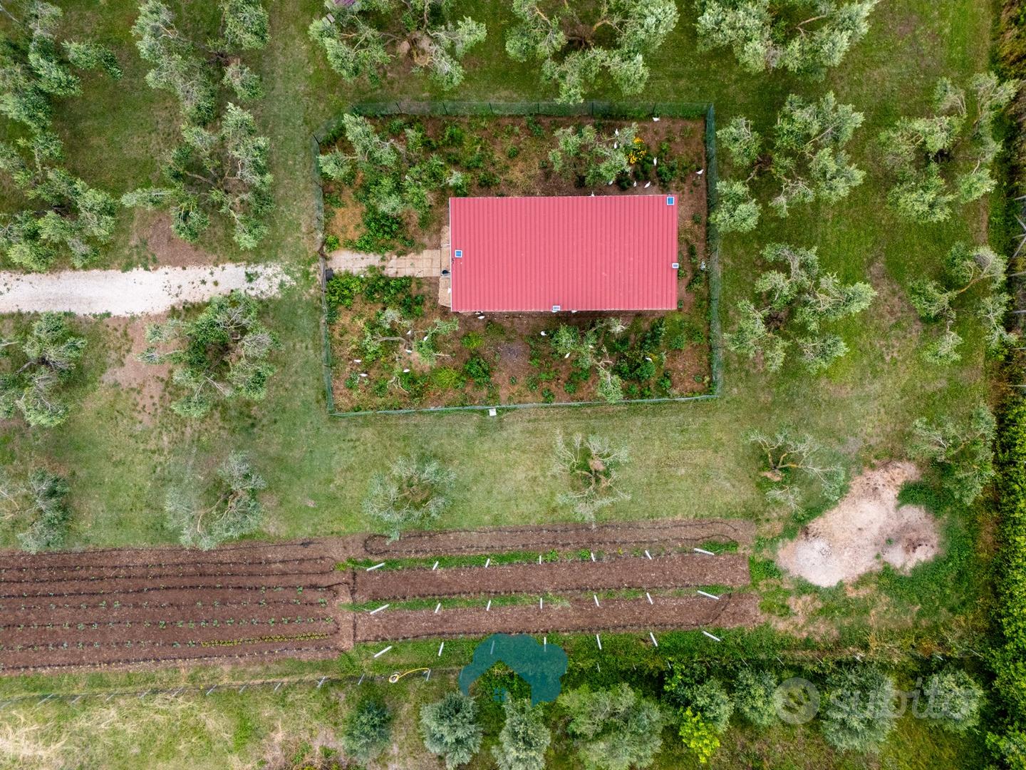Zagarolo: terreno con rustico e azienda agricola - Vista 5