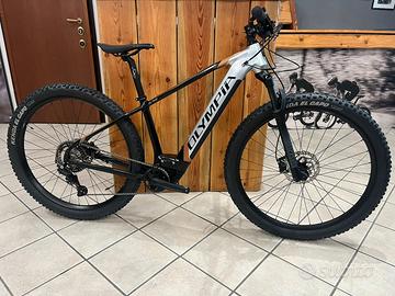 E-bike OLYMPIA EDGE 900Wh tg SMALL NEW PROMO