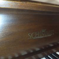 Schimmel 