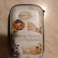 Custodia per Nintendo