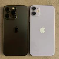 2 IPHONE 13pro e 11