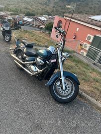 Volusia VL800