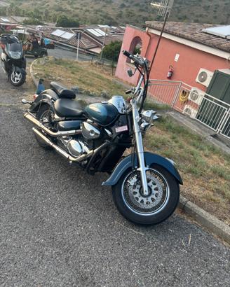 Volusia VL800