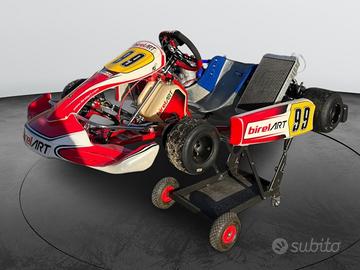 Go Kart Birel TM KZ10