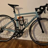 Bicicletta Specialized