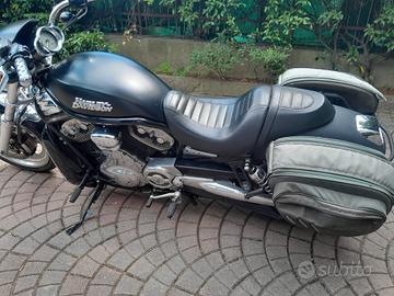 Harley Davidson V Rod