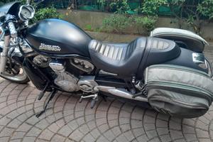 Harley Davidson V Rod