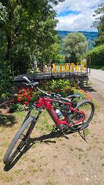 ebike